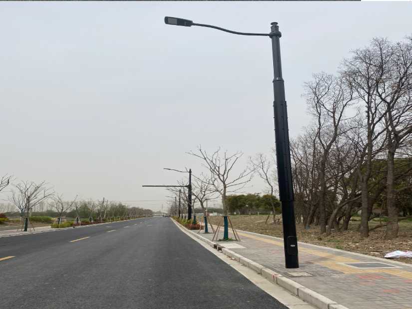 景洪市上海综合杆 太阳能路灯工程